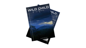 Best Books for Confidence Building Unlocking Courage with Dr Ann